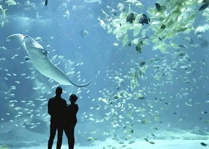 Les Remparts De Charme Face Au Chateau * Булонь-сюр-Мер